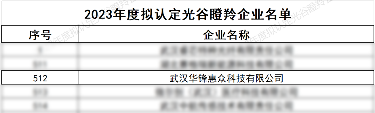 瞪羚企业2.png